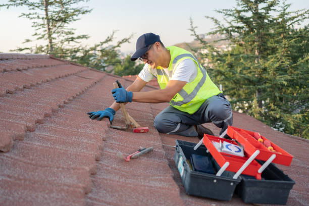 Best Roof Gutter Cleaning  in East Gaffney, SC